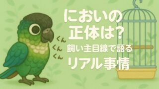 ウロコインコのにおいは?実際に飼って感じるニオイ事情