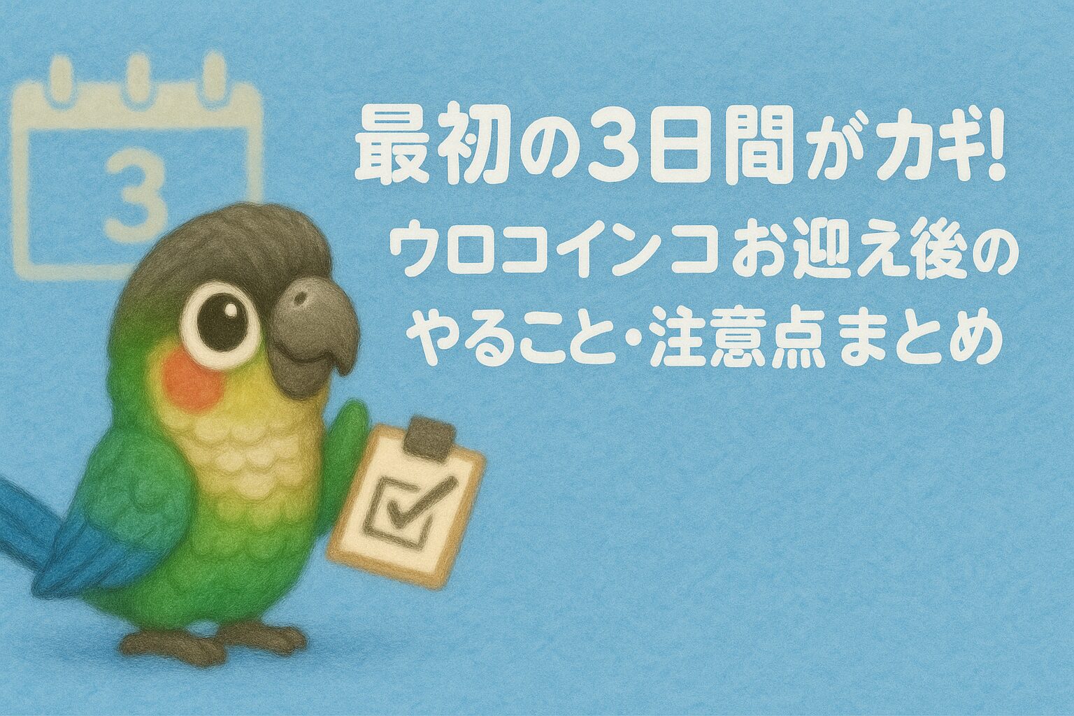 ウロコインコが家に来たらやることリスト｜最初の3日間で気をつけること